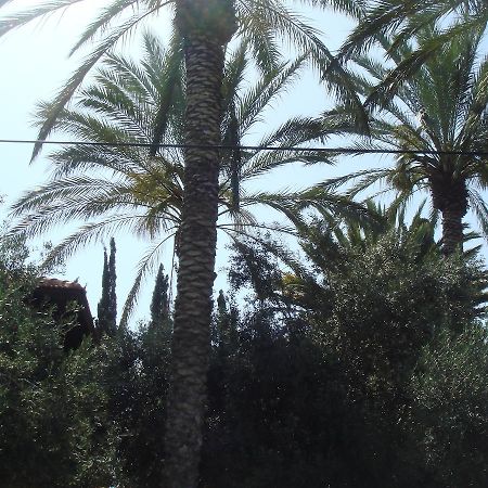 Lisa'S Farm Place Rishon Leziyyon Chambre photo