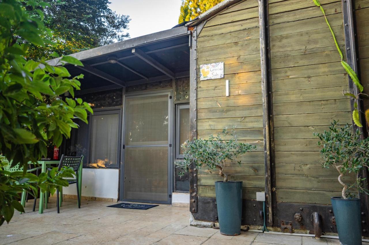 Lisa'S Farm Place Rishon Leziyyon Extérieur photo