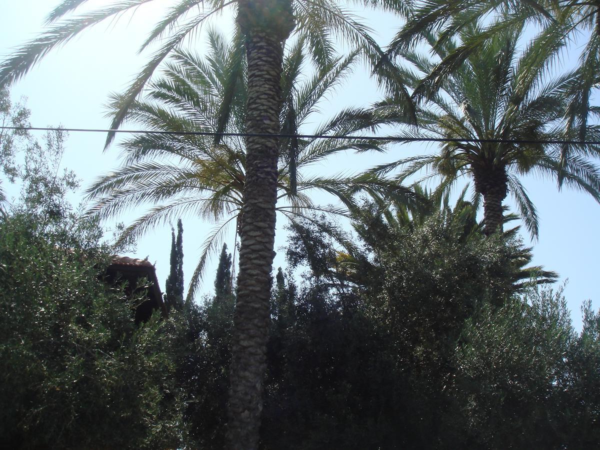 Lisa'S Farm Place Rishon Leziyyon Chambre photo